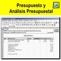 Hoja con el Presupuesto en Excel