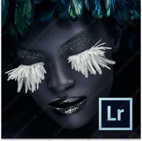 Adobe, Marca: Adobe - Licencia de Adobe Lightroom versi&oacute;n 4, Tipo de Licencia: Nueva - Comercial , Idioma: Espa&ntilde;ol, Windows/Mac