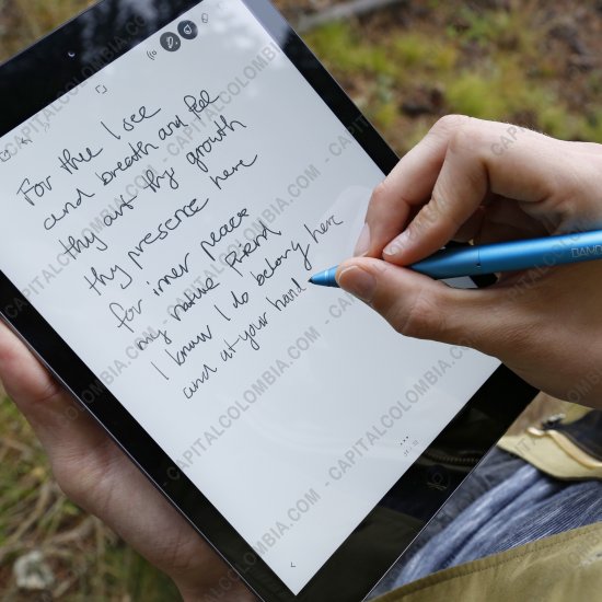 EOL, Marca: Wacom - Lápiz Bamboo Stylus Fineline para IPAD3 (o superior) sensible a la presión color negro con gris (Ref. CS600CK)