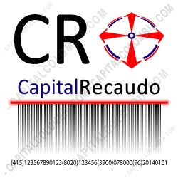 Software CapitalRecaudo