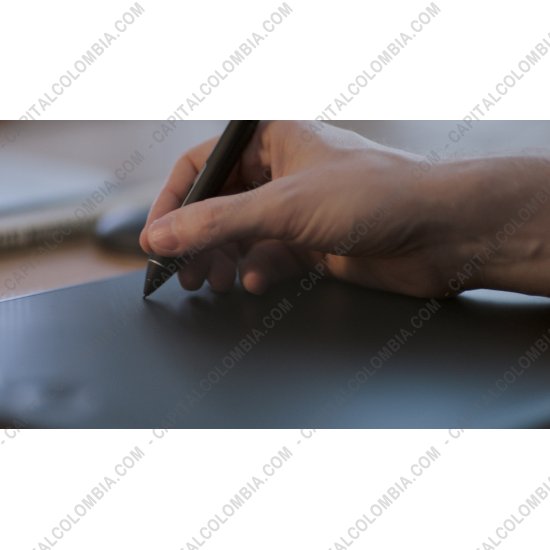 Tablas Digitalizadoras Wacom, Huion, Xp-Pen y otras, Marca: Wacom - Tableta Wacom Intuos Pro Touch Large (PTH860) - Lápiz con 8.192 niveles de presión